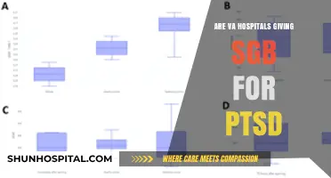 VA Hospitals: SGB for PTSD Treatment
