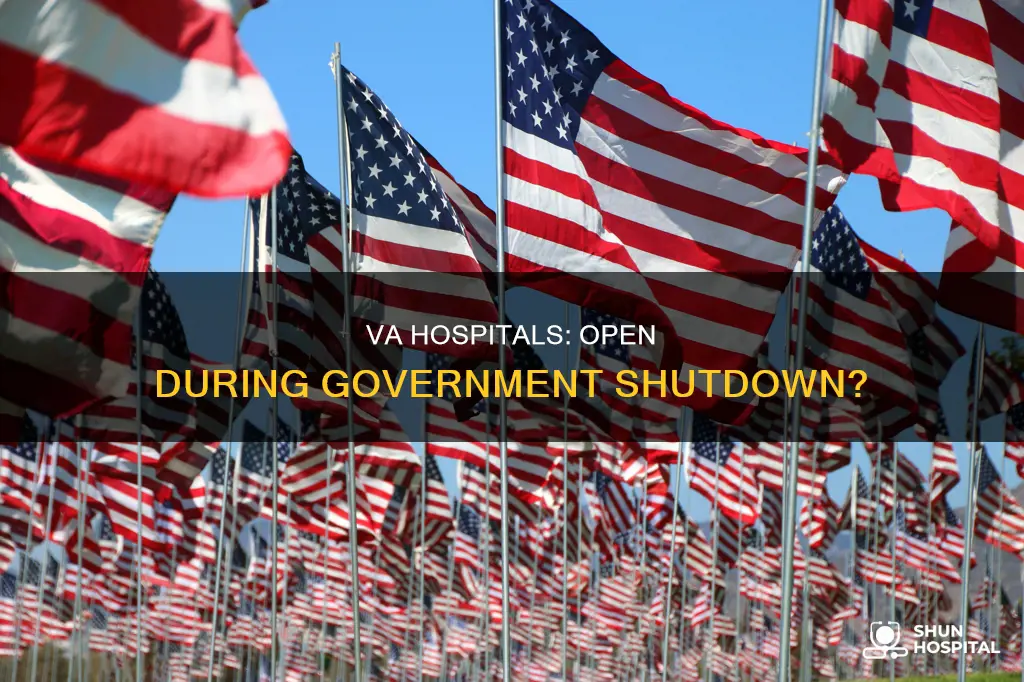 are va hospitals open during government shutdown