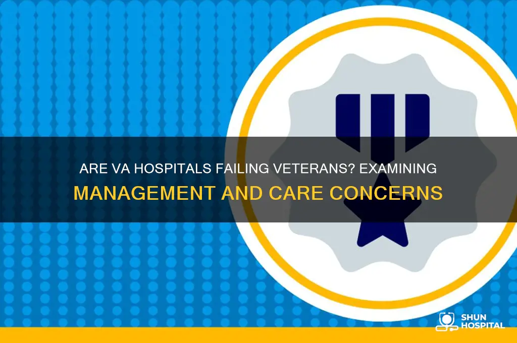 are va hospitals poorly run