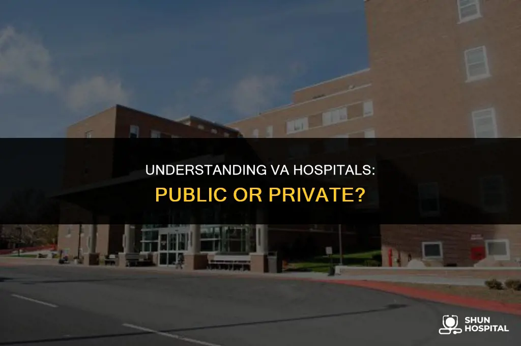are va hospitals public or private
