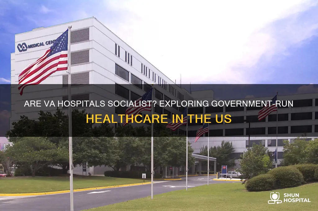 are va hospitals socialism
