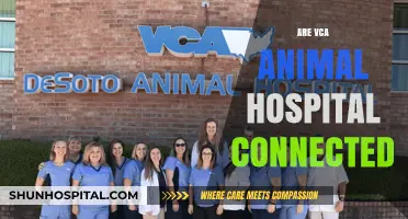 Are VCA Animal Hospitals Connected? Unraveling the Network of Pet Care