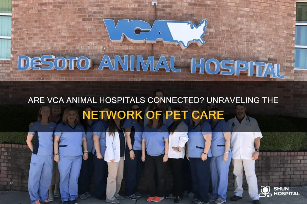 are vca animal hospital connected