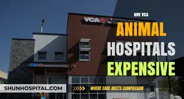 Are VCA Animal Hospitals Overpriced? Cost Analysis and Alternatives