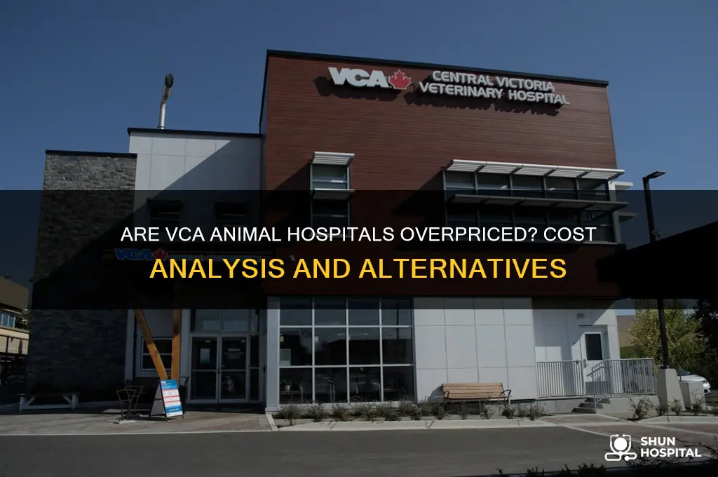 are vca animal hospitals expensive