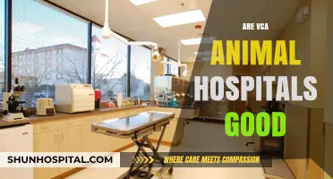Are VCA Animal Hospitals Good? A Comprehensive Review and Analysis