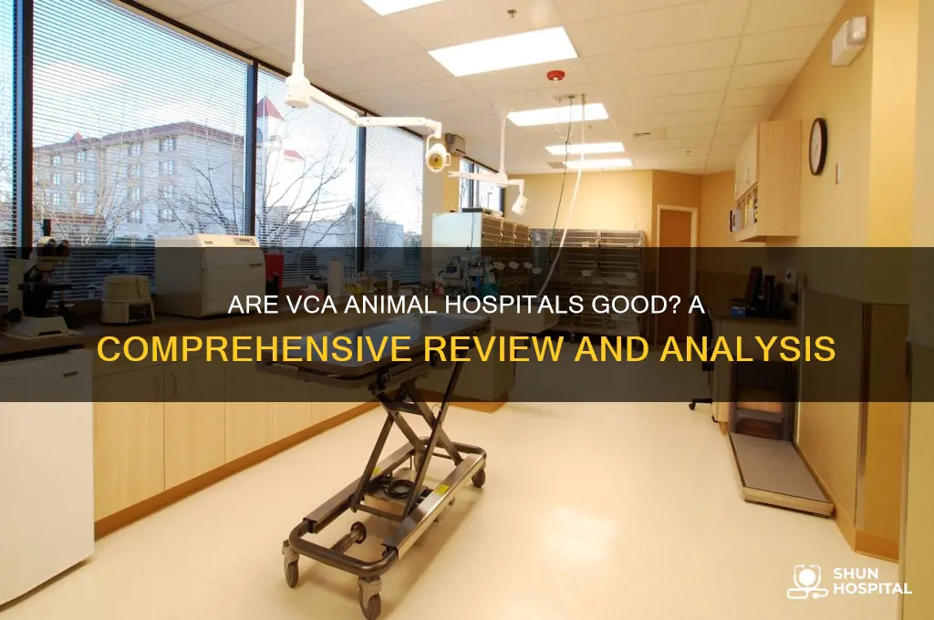 are vca animal hospitals good