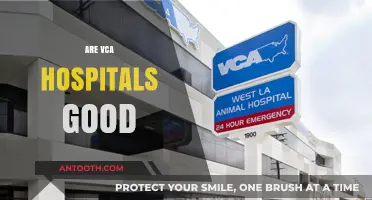 Are VCA Hospitals Good? A Comprehensive Review and Analysis