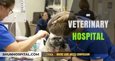 Exploring the Role and Importance of Veterinary Hospitals in Pet Care