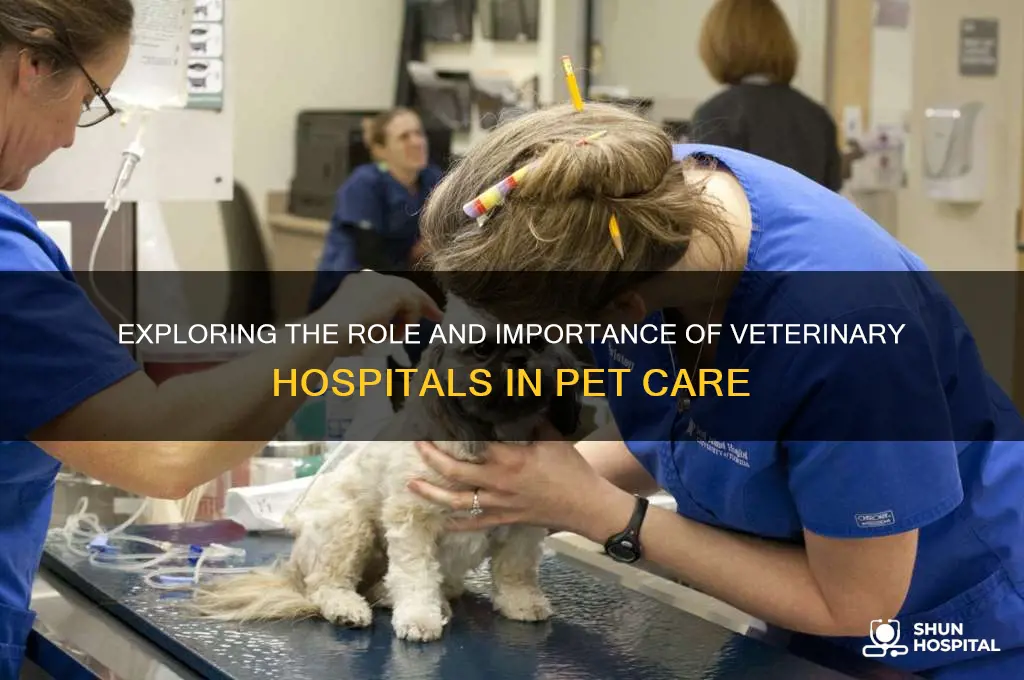 are veterinary hospital