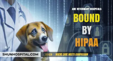 Veterinary Hospitals and HIPAA: Understanding Privacy Regulations