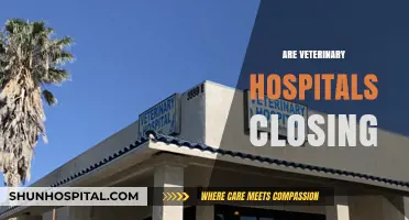 Are Veterinary Hospitals Closing? Exploring the Current Trends and Challenges