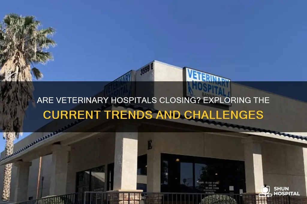 are veterinary hospitals closing