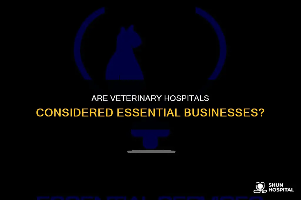 are veterinary hospitals considered essential business