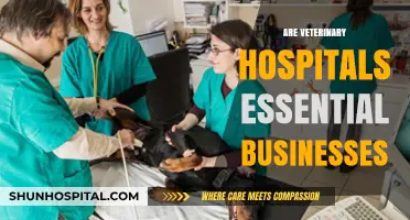 Are Veterinary Hospitals Essential? Exploring Their Critical Role in Pet Care
