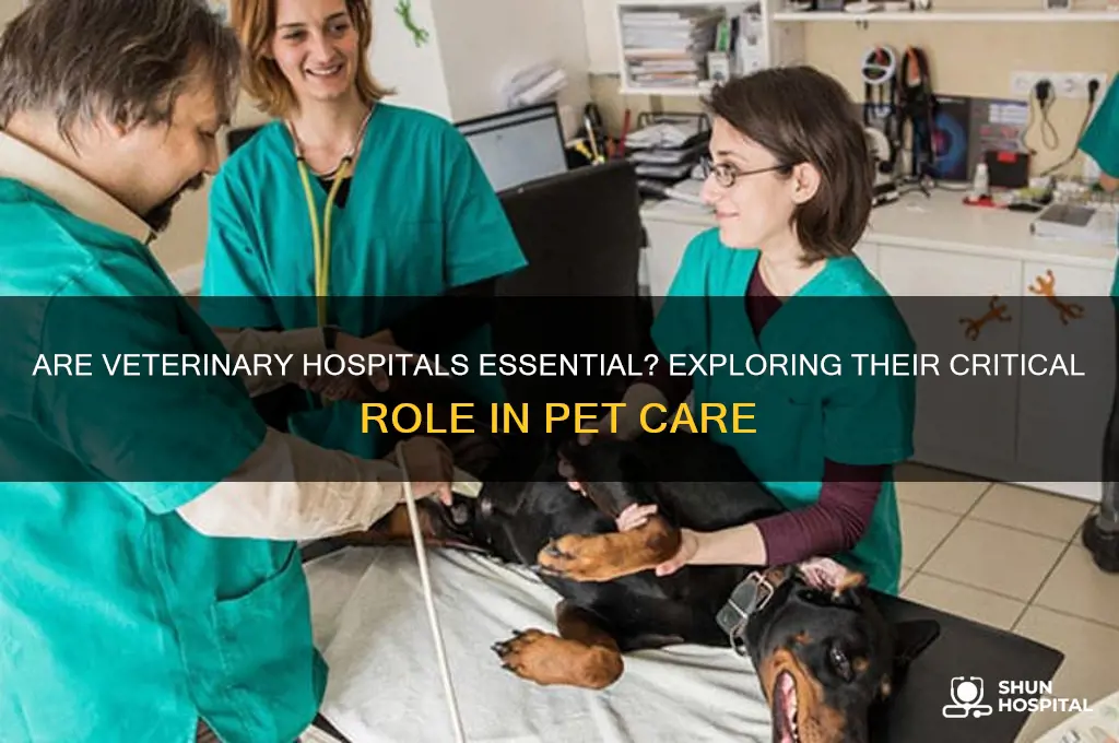 are veterinary hospitals essential businesses