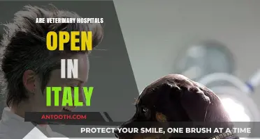 Exploring Pet Care Accessibility: Are Veterinary Hospitals Open in Italy?