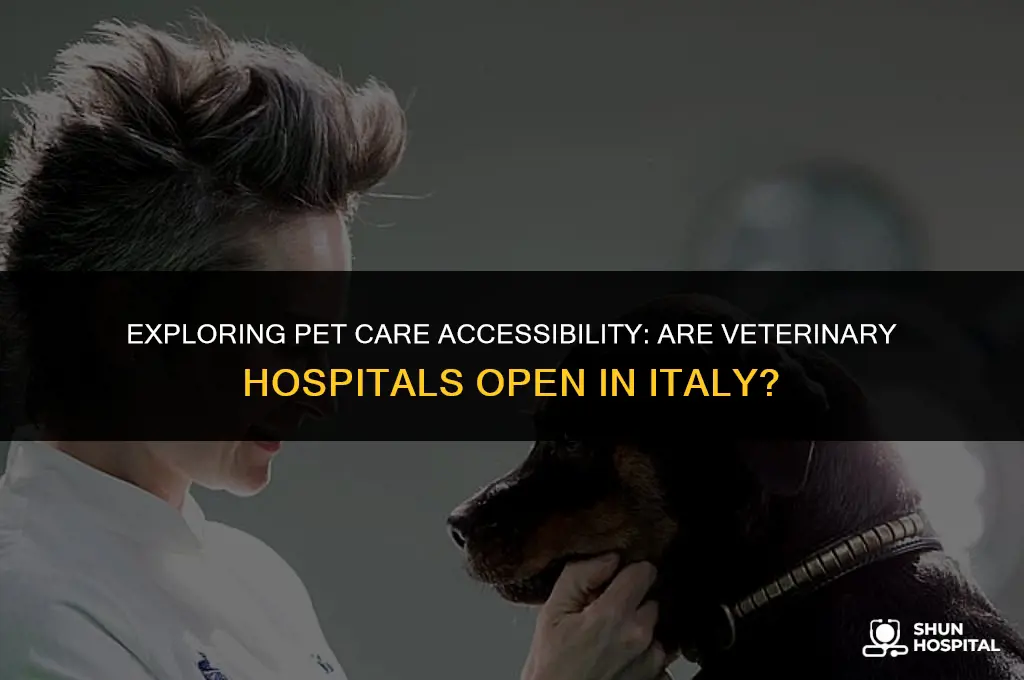 are veterinary hospitals open in italy