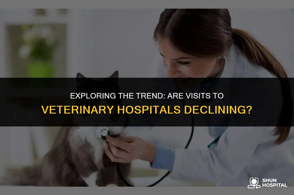 are visits to veterinary hospitals declining