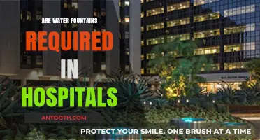 Hydration Haven: The Vital Role of Water Fountains in Hospitals