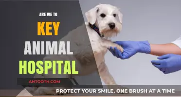 Decoding the Importance of Animal Hospitals: Are We Doing Enough?