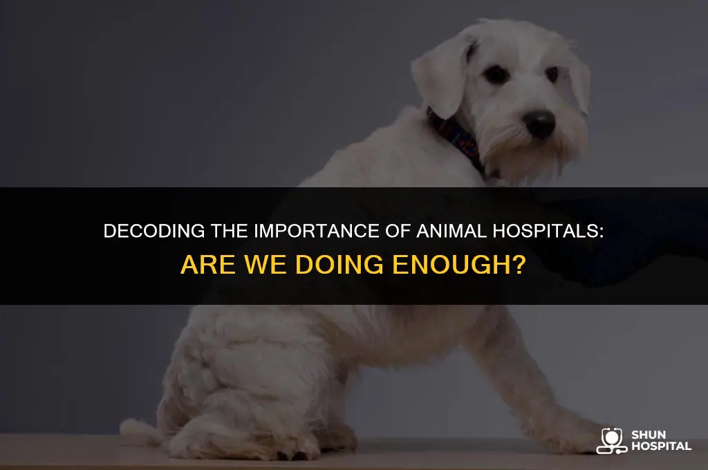 are we to key animal hospital