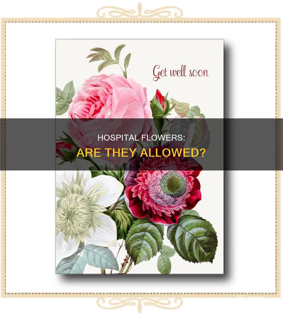 are you allowed flowers in a hospital