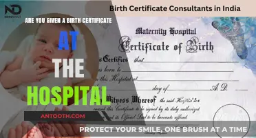 Do Hospitals Issue Birth Certificates? Understanding the Process After Delivery