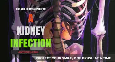 How Kidney Infections Can Land You in the Hospital