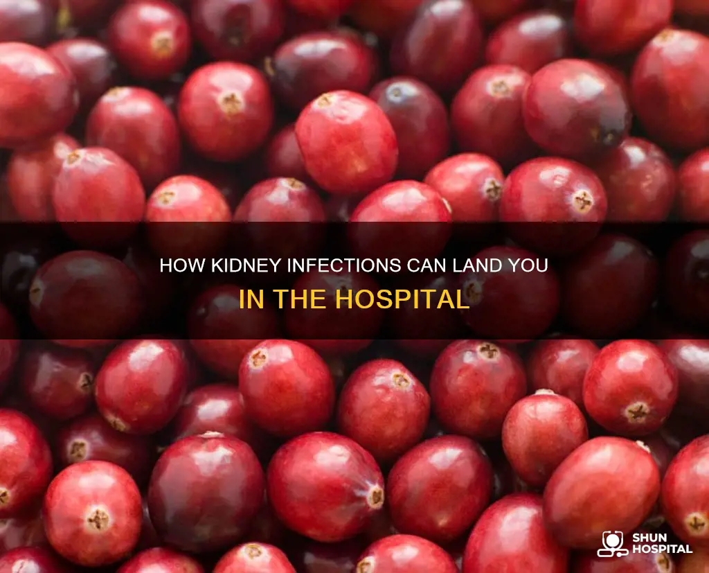 are you hospitalized for a kidney infection