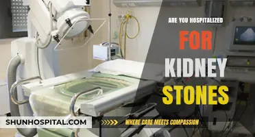 Understanding Kidney Stone Hospitalization: When to Seek Medical Care