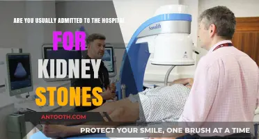 Kidney Stones: When Do They Require Hospital Admission?