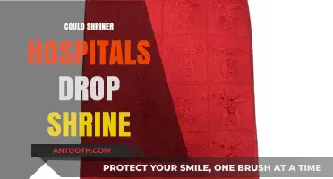 Could Shriners Hospitals Sever Ties with the Shrine Organization?