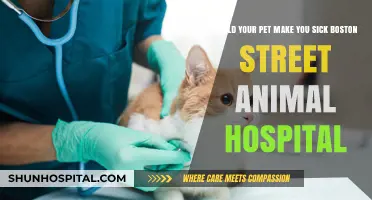 Pet Health Risks: How Boston Street Animal Hospital Keeps You Safe