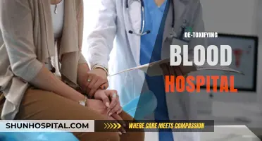 Purifying Blood: Advanced Hospital Detox Methods for Optimal Health