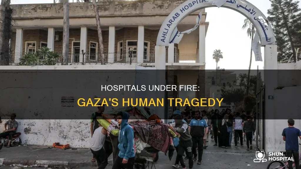 did 500 people die in gaza hospital