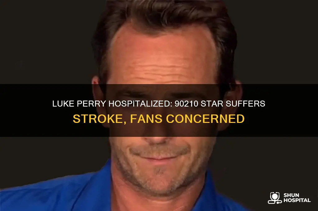 did 90210 star luke perry hospitalized after suffering stroke