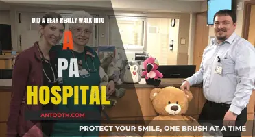 Bear Walks into PA Hospital: Fact or Fiction?