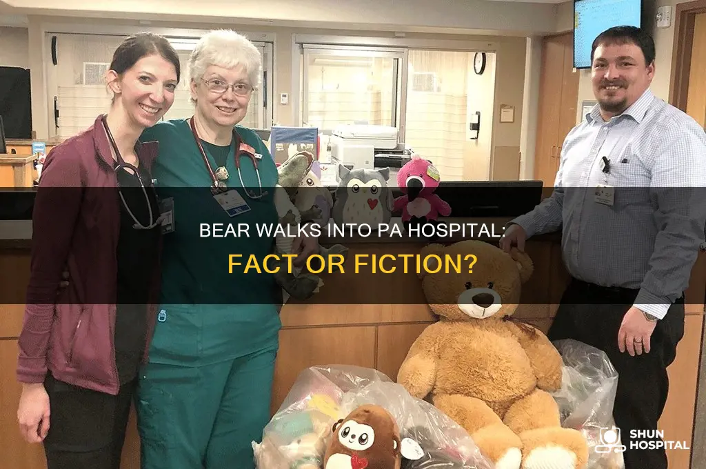 did a bear really walk into a pa hospital