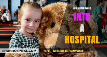Hospital Intruder: Bear Wanders In, Seeking Treatment
