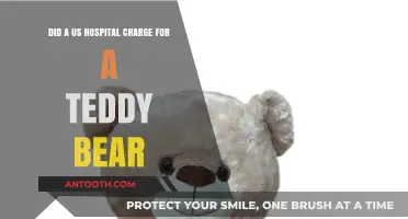 US Hospital's Shocking Bill: Charging for a Teddy Bear?