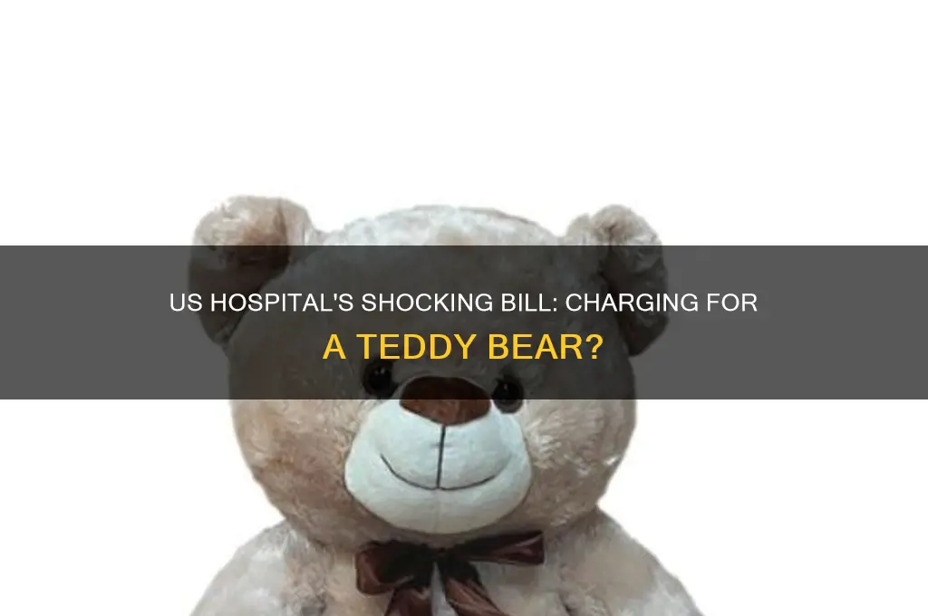 did a us hospital charge for a teddy bear
