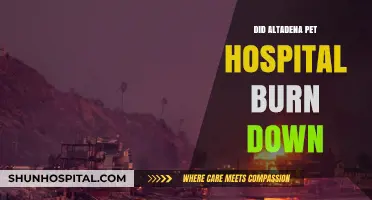 Altadena Pet Hospital Fire: Facts, Rumors, and Community Impact