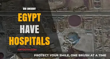 Ancient Egyptian Healthcare: Did They Have Hospitals or Healing Centers?