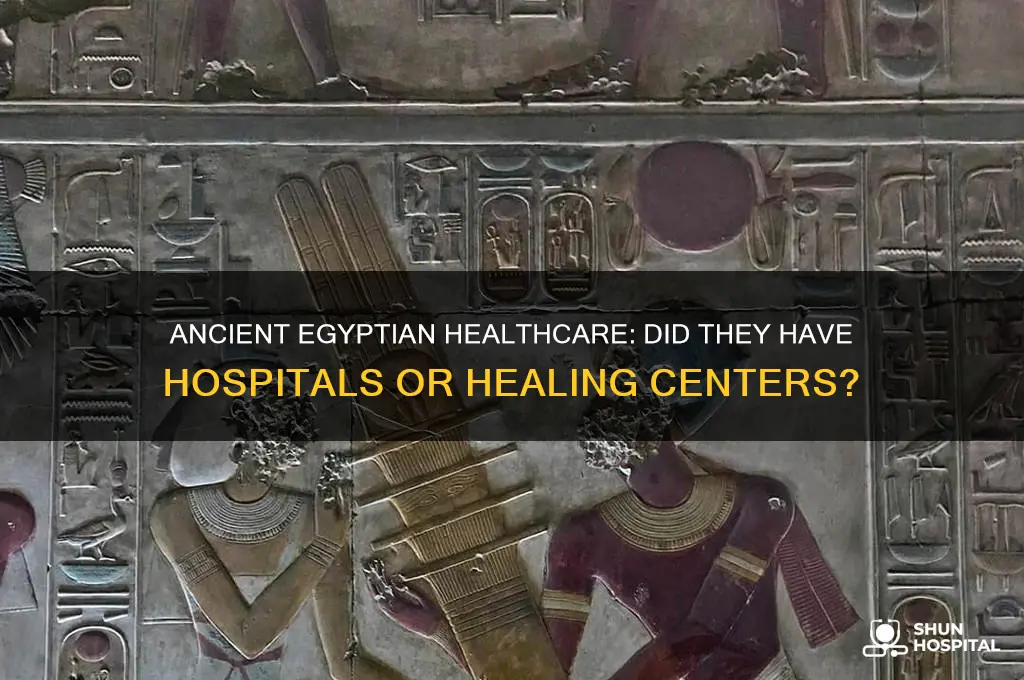 did ancient egypt have hospitals