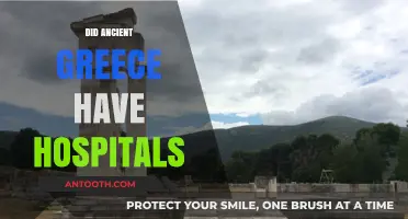 Ancient Greek Healthcare: Did They Have Hospitals or Healing Temples?