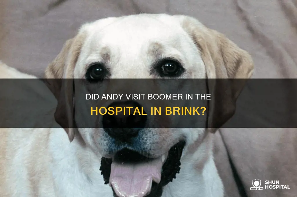 did andy visit boomer in the hospital in brink