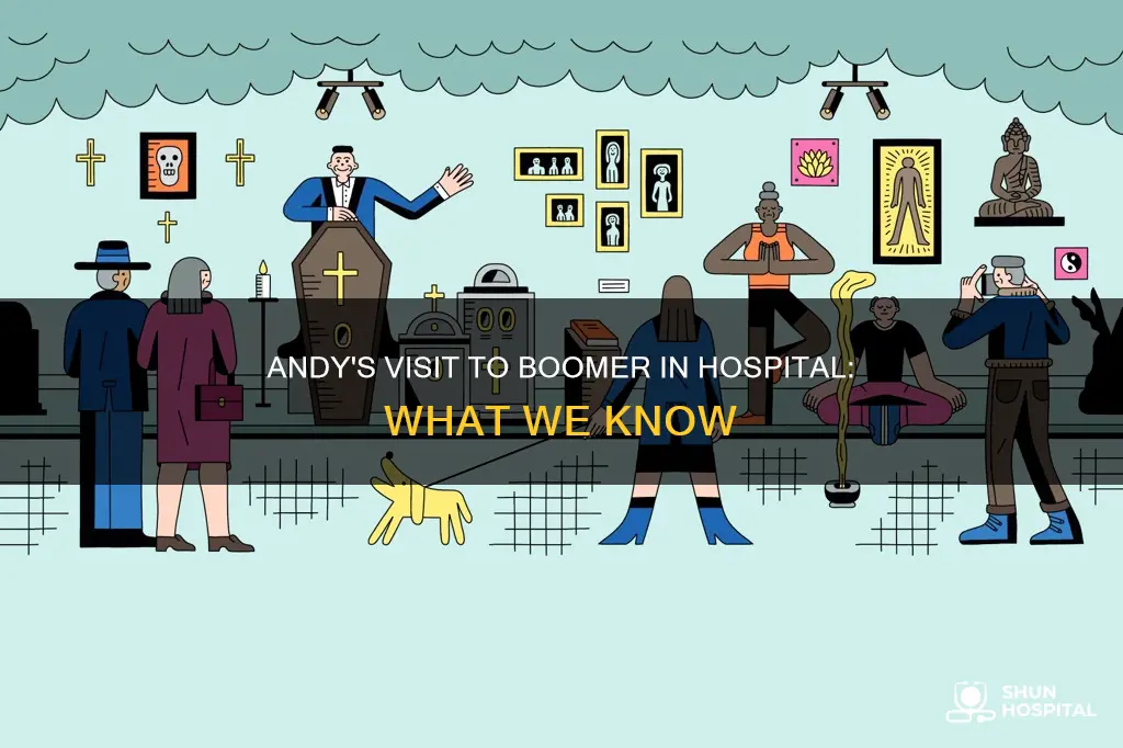 did andy visit boomer in the hospital
