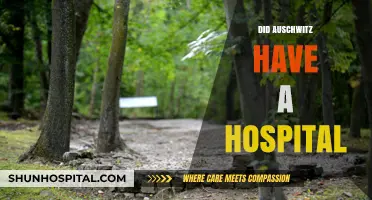 Auschwitz's Hidden Medical Facility: Unveiling the Camp's Hospital Secrets