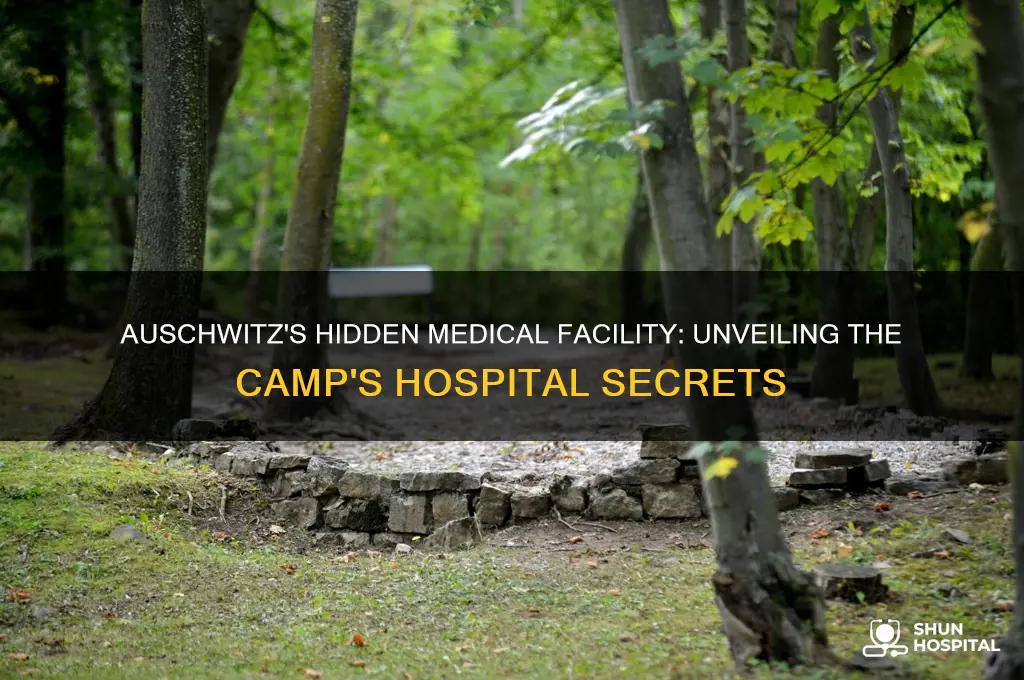 did auschwitz have a hospital